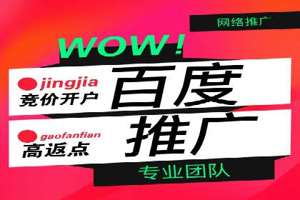 百度竞价包年全解析：成功案例分享